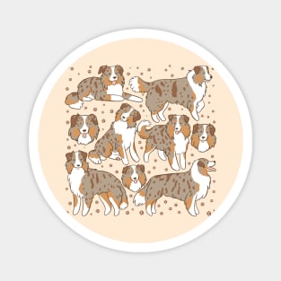 Minature american shepherd dog illustration Magnet